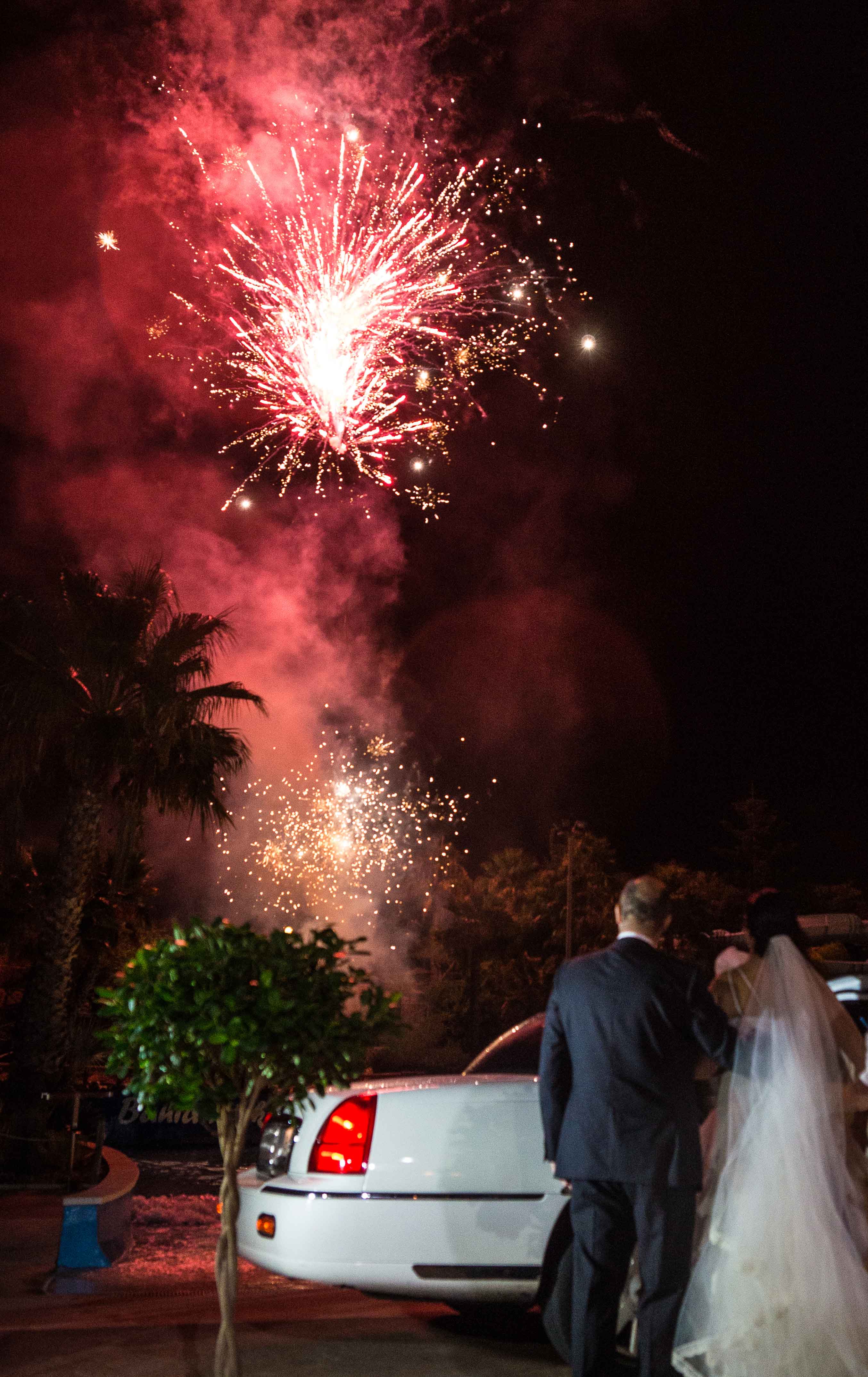 Boda-bahia-park-38